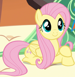 Size: 532x546 | Tagged: safe, screencap, fluttershy, pegasus, pony, trade ya, cute, female, mare, shyabetes