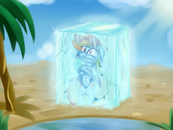 Size: 4000x3000 | Tagged: safe, artist:discorded, derpibooru import, rainbow dash, pegasus, pony, absurd resolution, belly button, bipedal, cold, desert, female, floppy ears, fluffy, freezing, frown, frozen, ice, mare, oasis, palm tree, shivering, solo, sunglasses, too cool, tree, wavy mouth, wide eyes