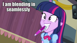 Size: 960x540 | Tagged: safe, derpibooru import, twilight sparkle, equestria girls, image macro, meme, mouth drawing, mouth hold, pen, solo, text