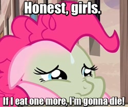 Size: 532x444 | Tagged: safe, edit, edited screencap, screencap, pinkie pie, pony, the cutie map, animaniacs, baked bads, cropped, female, green face, image macro, mare, meatball or consequences, meme, nauseous, sick, solo, sweat, sweatdrop, wakko warner, winnie the pink