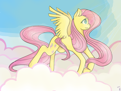 Size: 3264x2448 | Tagged: safe, artist:golebica, fluttershy, pegasus, pony, cloud, cloudy, high res, solo