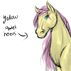 Size: 4000x4000 | Tagged: safe, fluttershy, pegasus, pony, cute, hoers, realistic, shyabetes, sketch, solo, yellowquiet