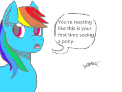 Size: 712x534 | Tagged: safe, artist:hailspider, derpibooru import, rainbow dash, pegasus, pony, solo, text, wip