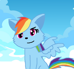 Size: 504x466 | Tagged: safe, derpibooru import, rainbow dash, cat, solo, species swap