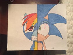 Size: 3264x2448 | Tagged: safe, artist:tristanmendez, derpibooru import, rainbow dash, pegasus, pony, crossover, sonic the hedgehog, sonic the hedgehog (series), traditional art