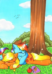 Size: 2322x3278 | Tagged: safe, artist:nana-yuka, derpibooru import, applejack, rainbow dash, earth pony, pegasus, pony, accessory theft, apple, appledash, book, butt pillow, female, lesbian, shipping, snuggling, tree