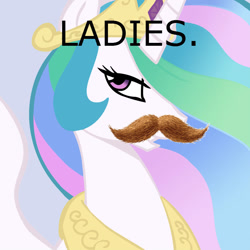 Size: 945x945 | Tagged: safe, princess celestia, alicorn, pony, image macro, like a sir, meme, moustache