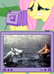 Size: 498x685 | Tagged: safe, fluttershy, pegasus, pony, artax, exploitable meme, fluttercry, meme, obligatory pony, the neverending story, tv meme