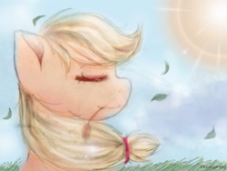 Size: 960x722 | Tagged: safe, artist:queensmil3y, applejack, earth pony, pony, eyes closed, grass, leaves, solo, sunshine