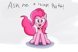 Size: 1280x853 | Tagged: safe, artist:ask-puppy-pie, artist:egstudios93, pinkie pie, earth pony, pony, ask, behaving like a dog, puppy pie, solo, tumblr