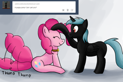 Size: 1280x853 | Tagged: safe, artist:ask-puppy-pie, artist:egstudios93, pinkie pie, oc, oc:whiteheart, earth pony, pony, ask, behaving like a dog, puppy pie, tumblr