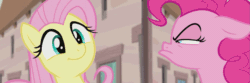 Size: 1855x616 | Tagged: safe, edit, edited screencap, screencap, fluttershy, pinkie pie, earth pony, pegasus, pony, the cutie map, animated, cropped, cute, flutterbob, frown, head shake, implied dancing, looking at each other, loop, shyabetes, smiling, squint, when she doesn't smile