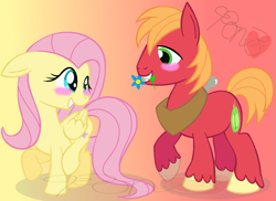 Size: 1349x982 | Tagged: safe, artist:mylittlepon3lov3, big macintosh, fluttershy, earth pony, pegasus, pony, blushing, cute, female, flower, fluttermac, macabetes, male, mouth hold, shipping, shyabetes, stallion, straight