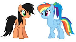 Size: 600x333 | Tagged: safe, derpibooru import, rainbow dash, oc, oc:rockette, pegasus, pony, mane swap