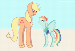 Size: 2599x1774 | Tagged: safe, artist:bukaa-a, derpibooru import, applejack, rainbow dash, earth pony, pegasus, pony, long legs, size difference, smoldash, unshorn fetlocks