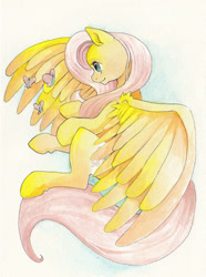 Size: 1484x1996 | Tagged: safe, artist:quila111, fluttershy, butterfly, pegasus, pony, flying, smiling, solo, spread wings, traditional art, watercolor painting