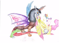 Size: 7014x5100 | Tagged: safe, artist:dawn22eagle, discord, fluttershy, pegasus, pony, absurd resolution, discoshy, female, male, shipping, straight, traditional art