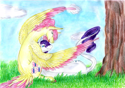 Size: 6919x4895 | Tagged: safe, artist:dawn22eagle, fluttershy, rarity, pegasus, pony, unicorn, absurd resolution, female, flarity, lesbian, shipping, traditional art