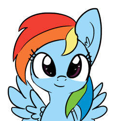Size: 1650x1650 | Tagged: safe, artist:tjpones, color edit, derpibooru import, edit, rainbow dash, pegasus, pony, bust, colored, cute, dashabetes, ear fluff, female, looking at you, mare, simple background, smiling, solo, spread wings, starry eyes, transparent background, wingding eyes, wings
