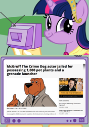 Size: 562x798 | Tagged: safe, derpibooru import, twilight sparkle, twilight sparkle (alicorn), alicorn, pony, exploitable meme, female, irony, mare, mcgruff the crime dog, meme, news, obligatory pony, political adventure in the comments, tv meme, twiface