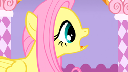 Size: 1366x768 | Tagged: safe, screencap, fluttershy, pegasus, pony, suited for success, exploitable meme, meme, solo