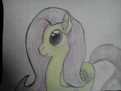Size: 1280x960 | Tagged: safe, artist:gallifreyanequine, fluttershy, pegasus, pony, crayon drawing, female, mare, traditional art