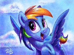 Size: 1024x768 | Tagged: safe, artist:tsitra360, derpibooru import, rainbow dash, pegasus, pony, challenge, cloud, cloudy, flying, legitimately amazing mspaint, ms paint, open mouth, paintbrush (app), signature, sky, solo