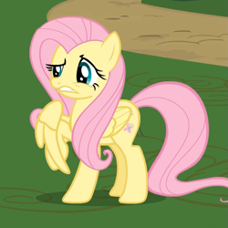 Size: 793x793 | Tagged: safe, screencap, fluttershy, pegasus, pony, it ain't easy being breezies, solo, unsure