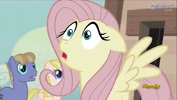 Size: 1433x806 | Tagged: safe, screencap, fluttershy, pegasus, pony, the cutie map, female, mare, pink mane, yellow coat