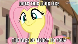 Size: 500x281 | Tagged: safe, edit, edited screencap, screencap, fluttershy, pegasus, pony, the cutie map, cute, face of mercy, image macro, meme, shyabetes, smiling