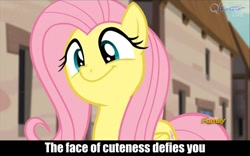 Size: 960x600 | Tagged: safe, screencap, fluttershy, pegasus, pony, the cutie map, caption, cute, image macro, meme, smiling, solo