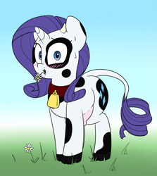 Size: 1451x1626 | Tagged: safe, artist:victoreach, rarity, cow, bell, blushing, caught, collar, cowbell, cowified, eating, flower, raricow, solo, species swap, udder
