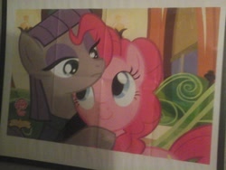 Size: 640x480 | Tagged: safe, maud pie, pinkie pie, earth pony, pony, friendship express, picture frame, poster