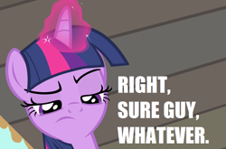 Size: 1091x718 | Tagged: safe, derpibooru import, twilight sparkle, twilight sparkle (alicorn), alicorn, simple ways, image macro, magic, meme, reaction image, solo, unamused