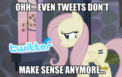 Size: 834x529 | Tagged: safe, edit, edited screencap, screencap, fluttershy, the cutie map, discovery family, discovery family logo, equal cutie mark, even tweets don't make sense anymore, image macro, meme, pun, twitter, visual pun