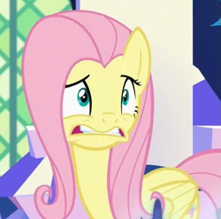 Size: 901x889 | Tagged: safe, screencap, fluttershy, pegasus, pony, the cutie map, female, mare, solo