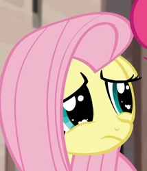 Size: 854x996 | Tagged: safe, screencap, fluttershy, pegasus, pony, the cutie map, reaction image, solo