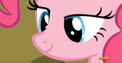 Size: 937x485 | Tagged: safe, screencap, pinkie pie, earth pony, pony, tanks for the memories, female, lidded eyes, mare, pink coat, pink mane