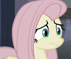 Size: 1205x1003 | Tagged: safe, screencap, fluttershy, pegasus, pony, the cutie map, reaction image, solo