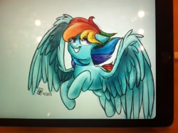 Size: 2592x1936 | Tagged: safe, artist:spacechickennerd, derpibooru import, rainbow dash, pegasus, pony, solo, spread wings