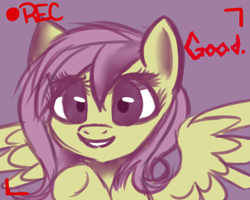 Size: 1280x1024 | Tagged: safe, artist:askflutterpsycho, fluttershy, pegasus, pony, female, mare, pink mane, yellow coat