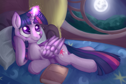 Size: 2399x1603 | Tagged: safe, artist:savannaeve, derpibooru import, twilight sparkle, twilight sparkle (alicorn), alicorn, pony, book, female, mare, night, solo