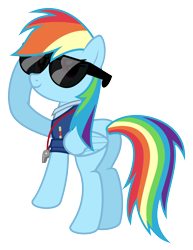 Size: 3026x3914 | Tagged: safe, artist:puetsua, derpibooru import, rainbow dash, pegasus, pony, .svg available, butt, glasses, plot, simple background, solo, sunglasses, transparent background, vector