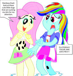 Size: 1024x1075 | Tagged: safe, artist:comedyestudios, derpibooru import, fluttershy, rainbow dash, leech, equestria girls, belly button, clothes, leeches, midriff, shirt lift, skirt, tanktop