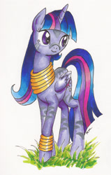 Size: 1414x2217 | Tagged: source needed, useless source url, safe, artist:catscratchpaper, derpibooru import, twilight sparkle, twilight sparkle (alicorn), alicorn, pony, zebra, female, fusion, leg rings, mare, neck rings, older, simple background, solo, species swap, traditional art, white background, zebra alicorn, zebrafied