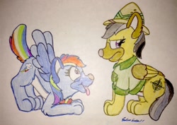 Size: 1184x840 | Tagged: safe, artist:silversimba01, derpibooru import, daring do, rainbow dash, dog, pegasus, pony, annoyed, canines, dogified, fan, fanart, female, funny, mare, species swap, traditional art