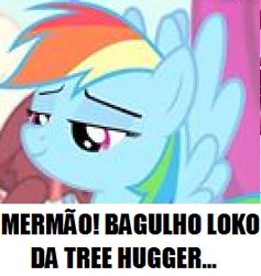 Size: 265x279 | Tagged: safe, derpibooru import, rainbow dash, tree hugger, pegasus, pony, blue coat, female, mare, multicolored mane, portuguese