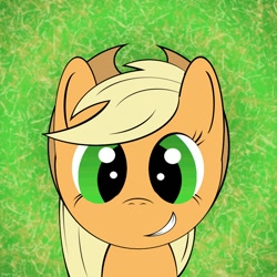 Size: 800x800 | Tagged: safe, artist:phenoix12, applejack, earth pony, pony, bust, portrait, solo