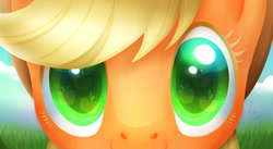 Size: 900x493 | Tagged: safe, artist:nekiw, part of a set, applejack, earth pony, pony, close-up, colored eyelashes, colored pupils, cute, eyes, jackabetes, looking at you, smiling, solo