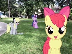 Size: 4032x3024 | Tagged: artist needed, source needed, safe, apple bloom, derpy hooves, twilight sparkle, twilight sparkle (alicorn), alicorn, earth pony, pegasus, pony, close-up, confused, cute, irl, outdoors, park, photo, ponies in real life, smiling at you